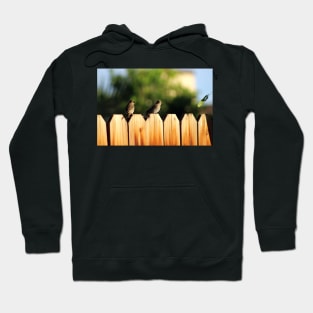 Sparrows on a Fence Hoodie